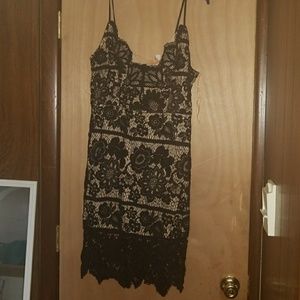 Lace Bodycon